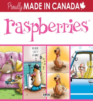 TOPPER/Raspberries Cards