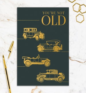 BD/You're Classic Cars