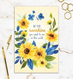 ED/Be the Sunshine