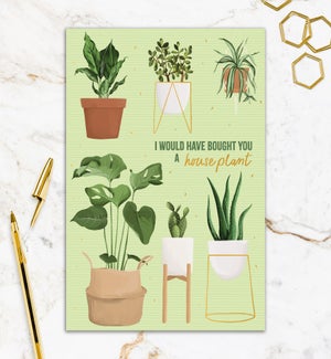ED/Bought a Houseplant