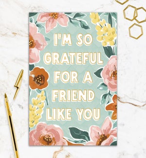 FR/Grateful for a Friend