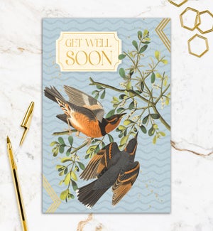 GW/Get Well Soon Birds