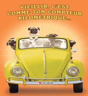 BDFR/Compteur kilométrique