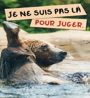 BDFR/ Pour juger