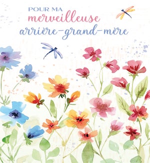 RBDFR/Arrière-grand-mère
