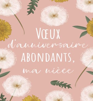 RBDFR/Ma nièce