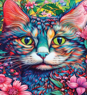 EDFR/Miaou du chat