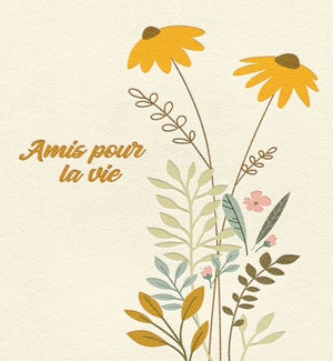 FRFR/Amis pour la vie