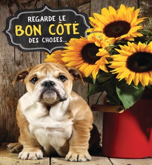 GWFR/ Le bon côté des choses