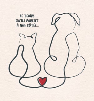 PSYFR/Trop bref