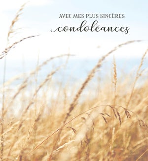 SYFR/Sincères condoléances