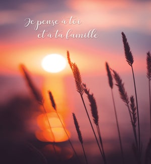 SYFR/Je pense à toi