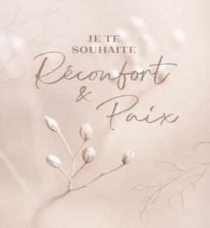 SYFR/Réconfort & Paix