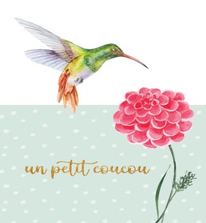 THFR/Un petit coucou