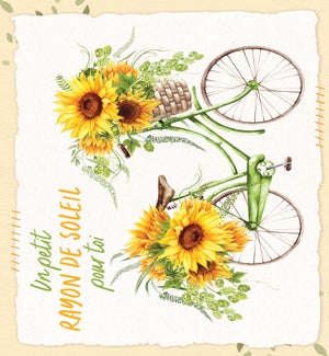 THFR/Rayon de soleil