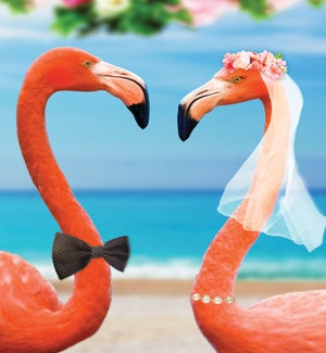 WDFR/Le couple parfait