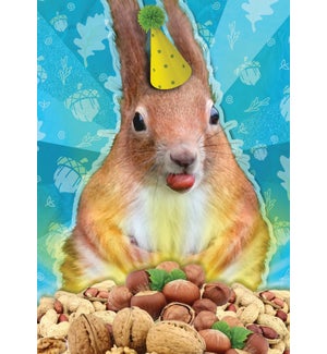 BD/Party Squirrel