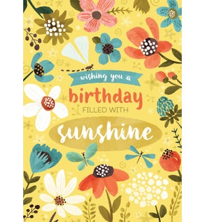BD/Sunshine Birthday