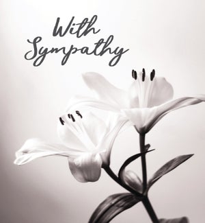SY/Sympathy Lily