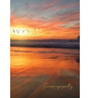 SY/Sincere Sympathy Sunset