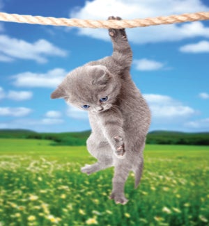 EN/Hang In There