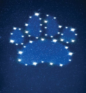 PSY/Paw Print Stars