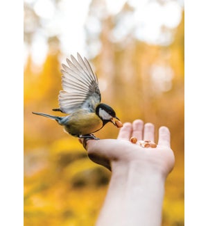 FR/Bird In Hand