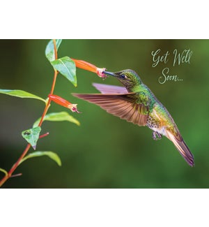 GW/Flying Hummingbird