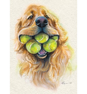 ED/Dog With Tennis Balls