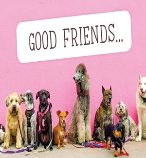 FR/Good Friends