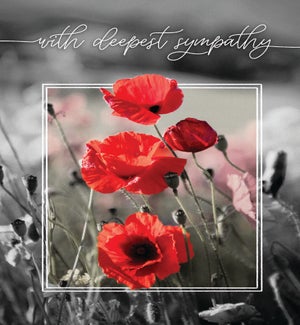 SY/Sympathy Poppies