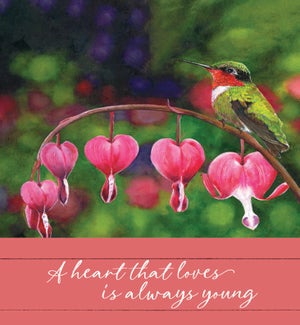 TH/Pink Hearts Hummingbird