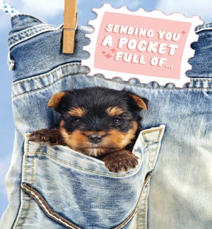 EN/Pocket Full Of