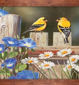 BL/Yellow Birds On Fence