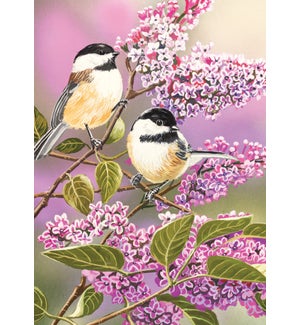 BL/Lilac Birds