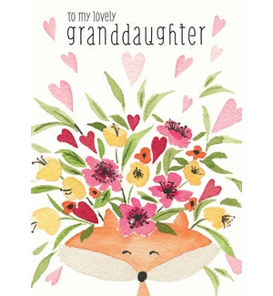 RBD/Granddaughter Fox