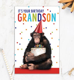 RBD/Grandson Chimp