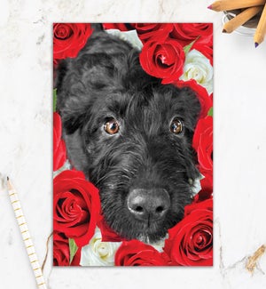 RO/Roses Are Red