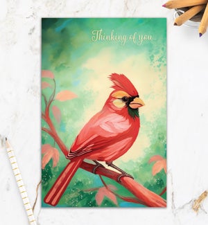 TH/Thoughtful Cardinal
