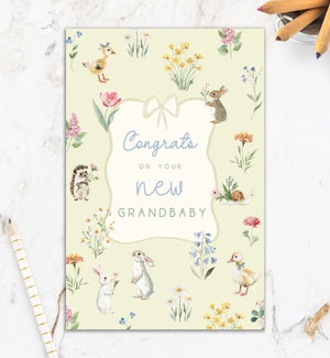 NB/New Grandbaby
