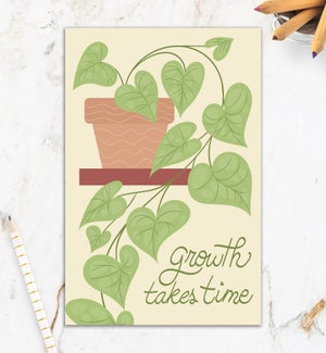 EN/Growth Takes Time