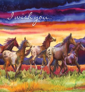 BD/Sunset Horses Running