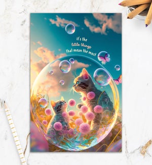 FR/Cats in Bubbles