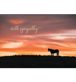 SY/Horse Sunset