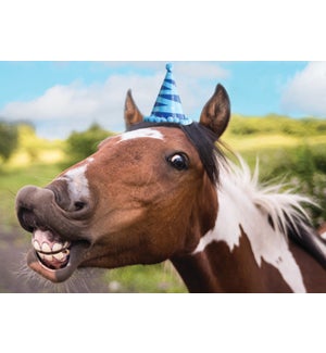 BD/Horse Birthday Hat