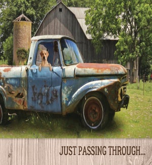 BD/Truck with Dog