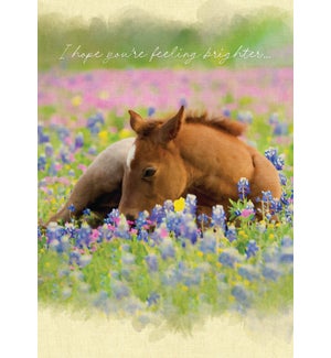 GW/Horse in Flowers