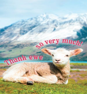 TY/Thank Ewe