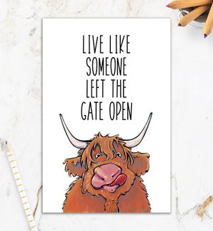 RT/Gate Open