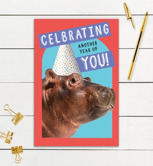 BD/Celebrating Hippo